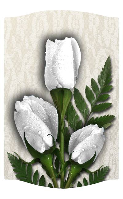 DNSLOG C 060 2 Roses White 